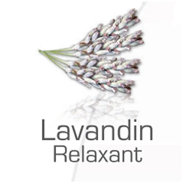 Camylle Spaduft Lavendel 250 ml. - afslappende